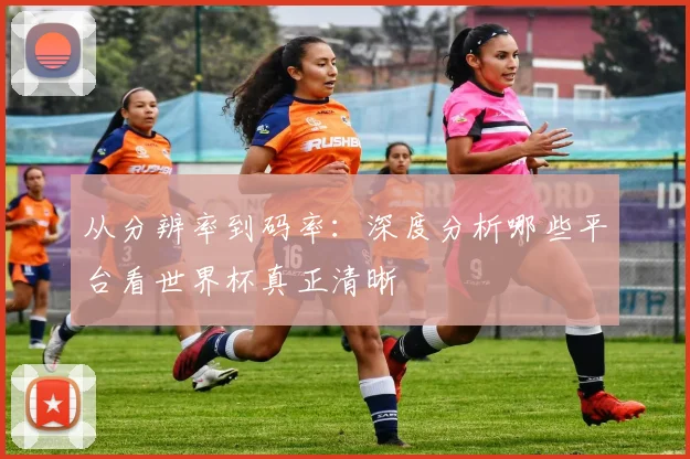 从分辨率到码率：深度分析哪些平台看世界杯真正清晰