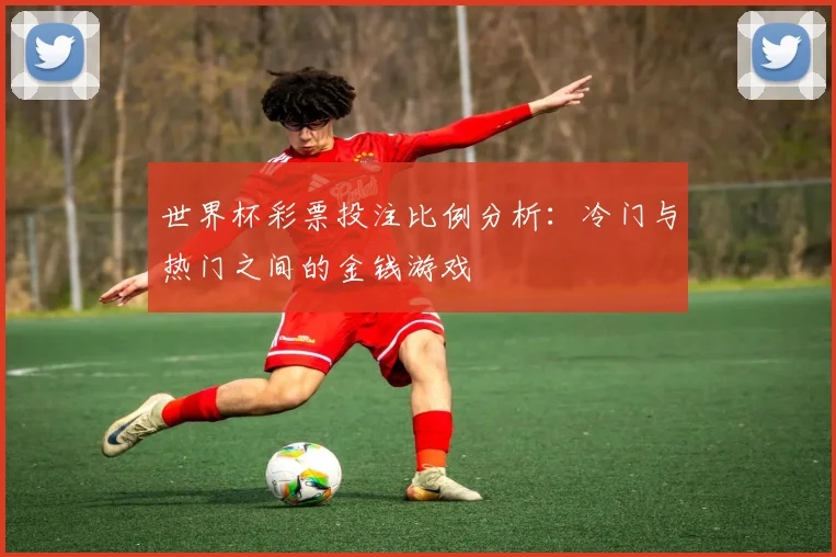 世界杯彩票投注比例分析：冷门与热门之间的金钱游戏