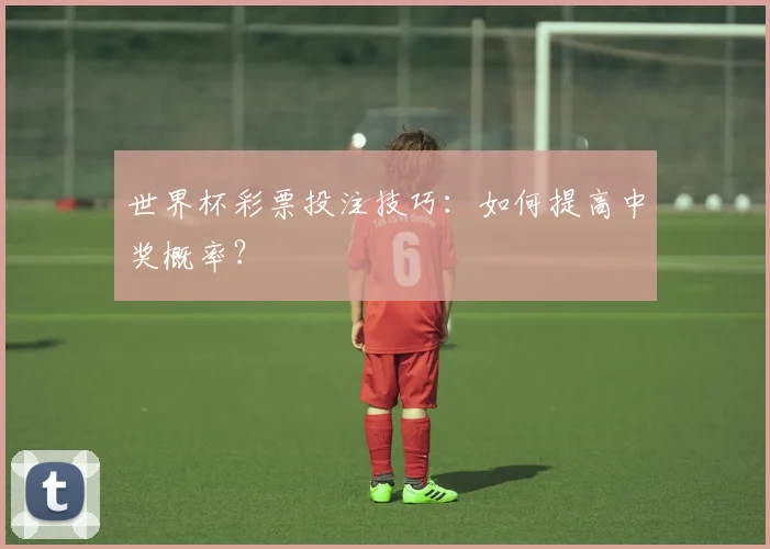 世界杯彩票投注技巧：如何提高中奖概率？