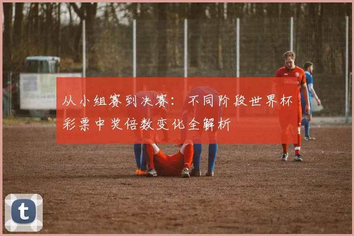 从小组赛到决赛:不同阶段世界杯彩票中奖倍数变化全解析