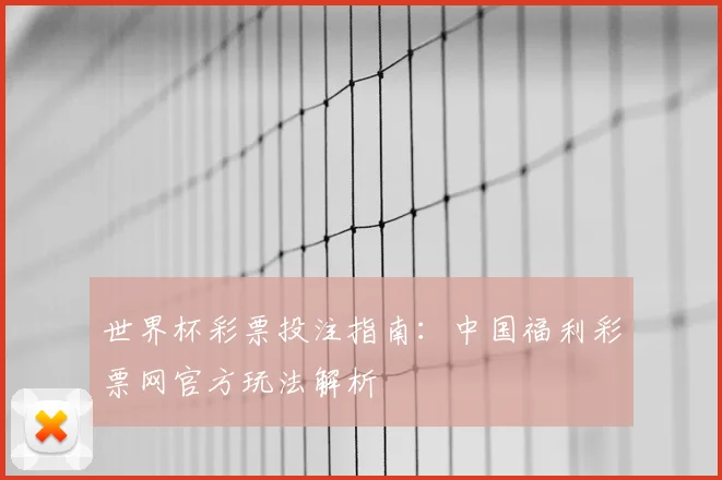 世界杯彩票投注指南：中国福利彩票网官方玩法解析