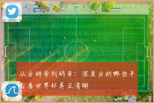 从分辨率到码率：深度分析哪些平台看世界杯真正清晰