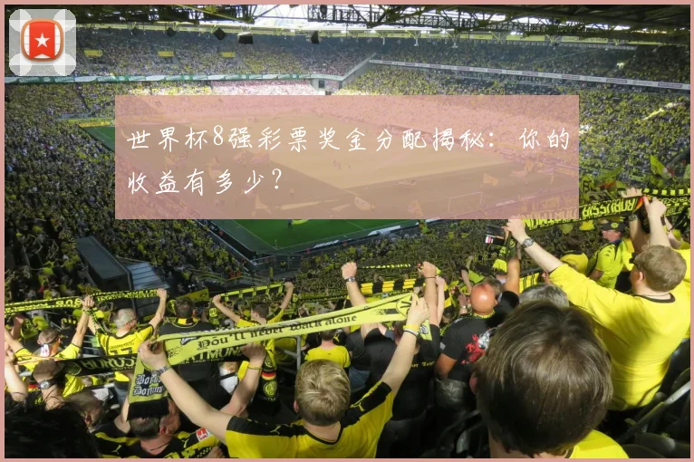 世界杯8强彩票奖金分配揭秘:你的收益有多少?