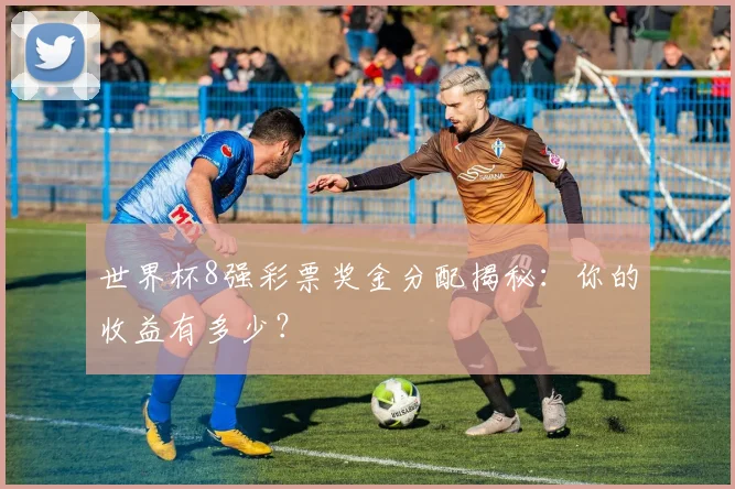 世界杯8强彩票奖金分配揭秘：你的收益有多少？