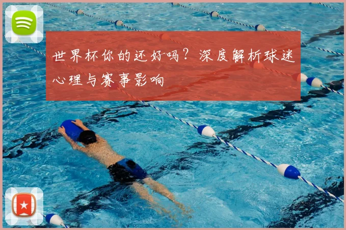 世界杯你的还好吗?深度解析球迷心理与赛事影响
