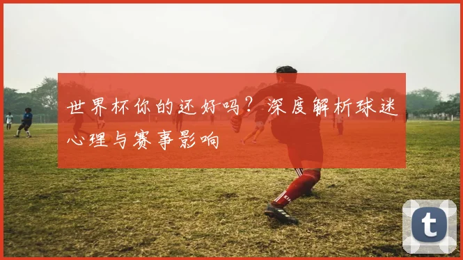 世界杯你的还好吗?深度解析球迷心理与赛事影响